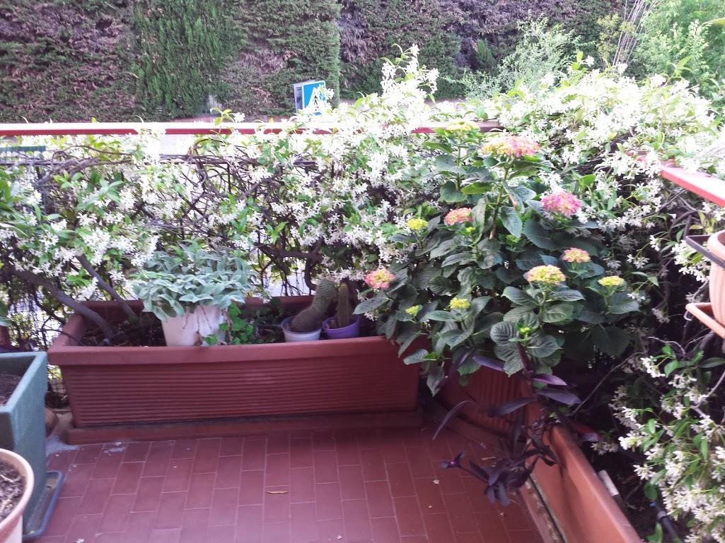 La Fontana Di Carlotta * Rom